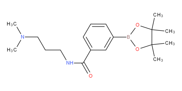 N-[3-(N',N'-Dimethylamino)propyl]benzamide-3-boronic acid, pinacol ester