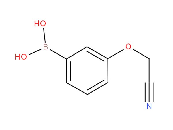 3-Cyanomethoxyphenylboronic acid