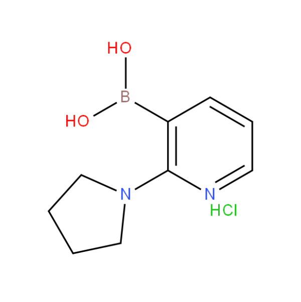 2-Pyrrolidin-1-ylpyridine-3-boronic acid, hydrochloride