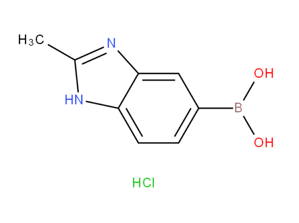 2-Methyl-1H-benzimidazole-5-boronic acid, hydrochloride salt