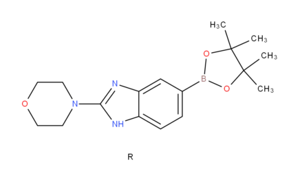 2-(morpholino)-1H-benzimidazole-5-boronic acid, pinacol ester dihydrochloride salt