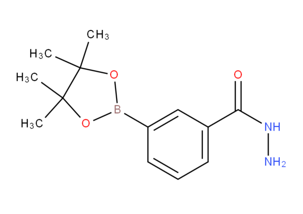 3-(hydrazinecarbonyl)phenylboronic acid, pinacol ester