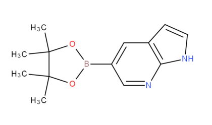 7-azaindole-5-boronic acid, pinacol ester
