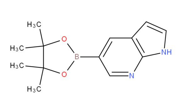 7-azaindole-5-boronic acid, pinacol ester