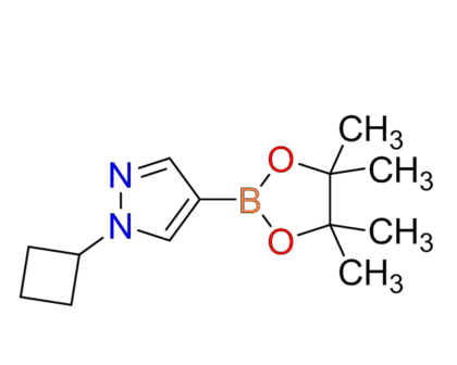 1-cyclobutyl-1H-pyrazole-4-boronic acid, pinacol ester