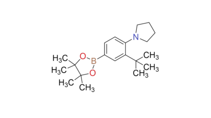 (3-(tert-butyl)-4-(pyrrolidin-1-yl)phenyl)boronic acid, pinacol ester
