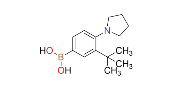 (3-(tert-Butyl)-4-(pyrrolidin-1-yl)phenyl)boronic acid